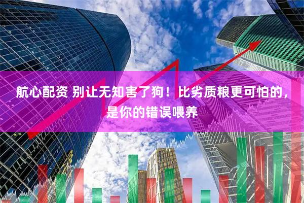 航心配资 别让无知害了狗！比劣质粮更可怕的，是你的错误喂养
