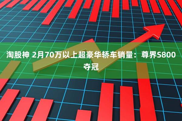 淘股神 2月70万以上超豪华轿车销量：尊界S800夺冠
