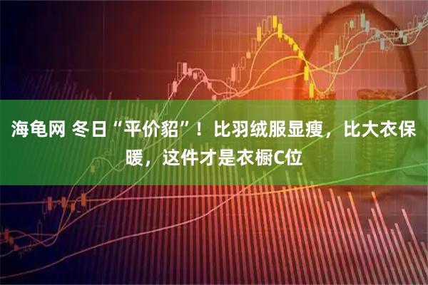 海龟网 冬日“平价貂”！比羽绒服显瘦，比大衣保暖，这件才是衣橱C位