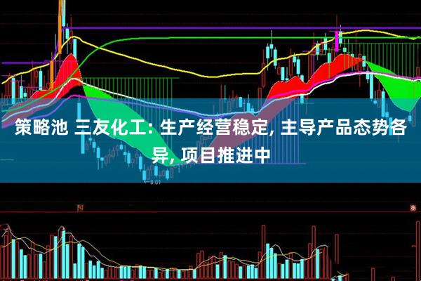 策略池 三友化工: 生产经营稳定, 主导产品态势各异, 项目推进中