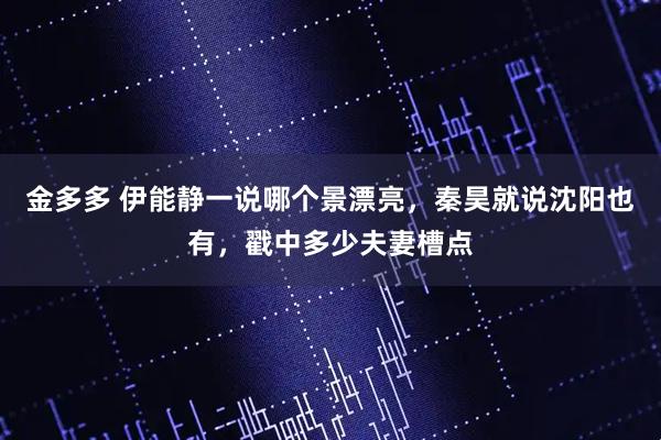金多多 伊能静一说哪个景漂亮，秦昊就说沈阳也有，戳中多少夫妻槽点