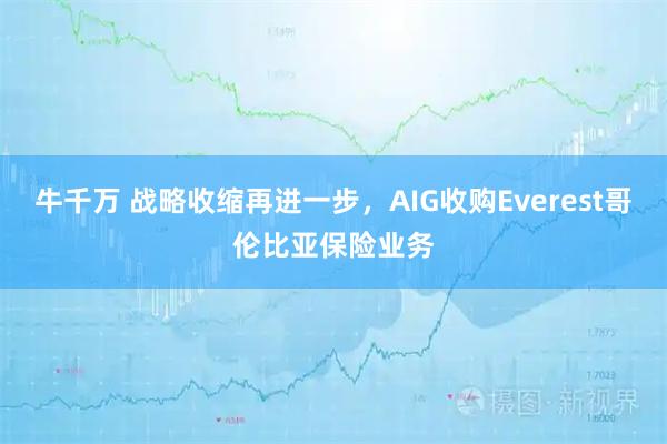 牛千万 战略收缩再进一步，AIG收购Everest哥伦比亚保险业务