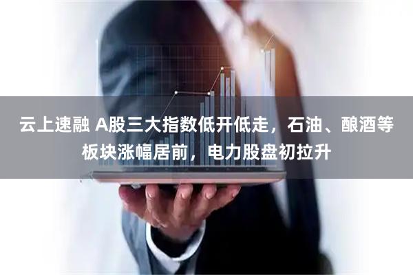 云上速融 A股三大指数低开低走，石油、酿酒等板块涨幅居前，电力股盘初拉升