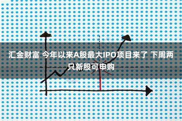 汇金财富 今年以来A股最大IPO项目来了 下周两只新股可申购